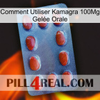 Comment Utiliser Kamagra 100Mg Gelée Orale 06